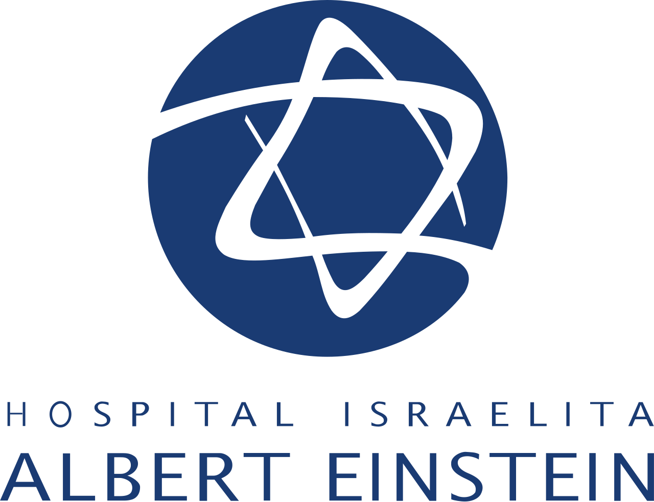 Logo Einstein