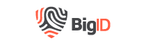triggo.ai |Partners | BigID