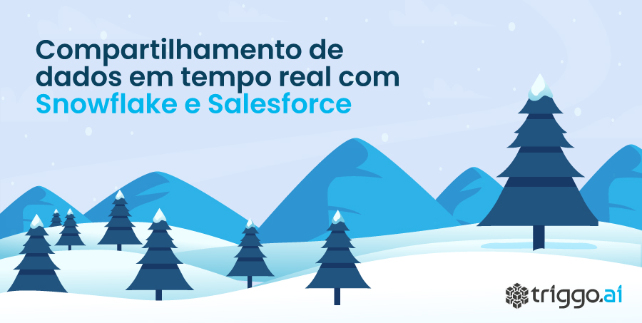 Parceria-Snowflake-Salesforce-triggo.ai