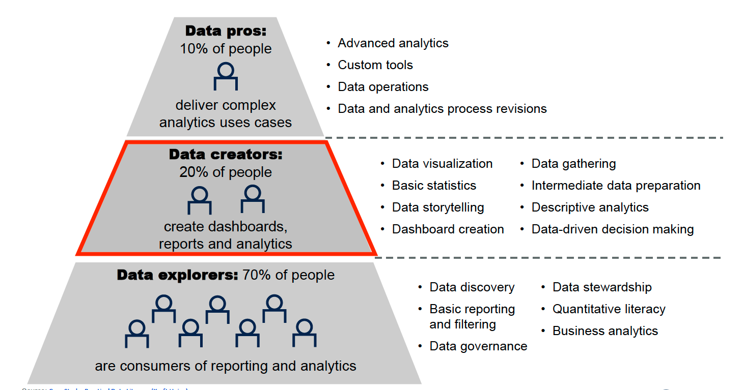 Etapas Data Literacy